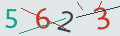 verifycode